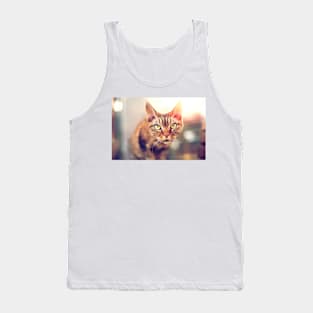 Devon Rex purebred domestic cat looking at camera Tank Top